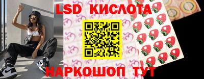 винт Кимры