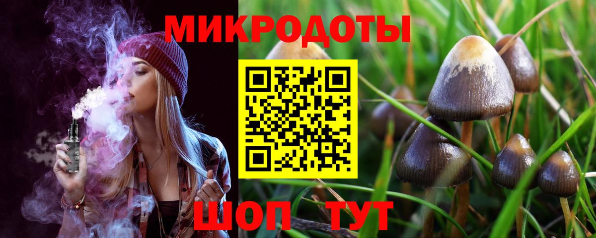 Галлюциногенные грибы Psilocybe  Вход с VPN  Коркино  Псилоцибиновые грибы мицелий 