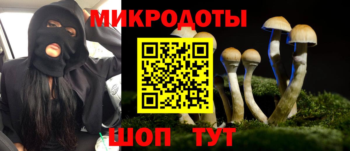 Псилоцибиновые грибы мицелий Коркино